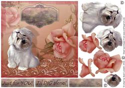Just for You - Til Dig Alene!