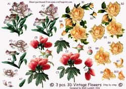 3 Pcs. 3D Vintage Flowers