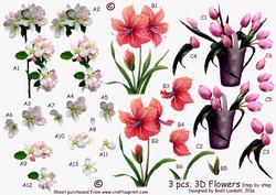 3 Pcs. 3D Flowers