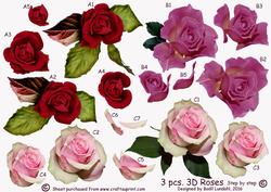 3 Pcs. 3D Roses Step by Step