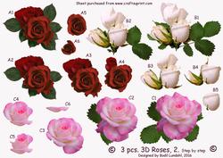 3 Pcs. 3D Roses, 2 Step by Step