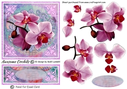 Awesome Orchids