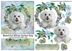 Beautiful White Cotton Dog
