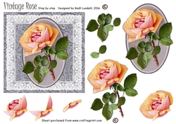 Vintage Rose step by step