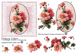 Vintage Asters step by step