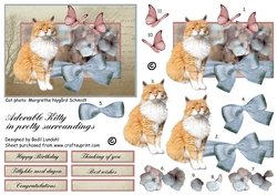 Adorable Kitty in pretty surroundings