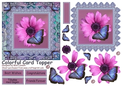 Colorful Card Topper