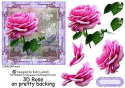 Image of cup411625_1395 - 3D Rose on pretty backing