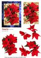 Poinsettia, in Blue Frame