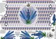 Decoupaged Vintage Delphiniums Buttoned in the Back
