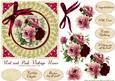 Red and Pink Vintage Roses