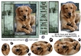 With love and WOOFs, Golden Retriever 