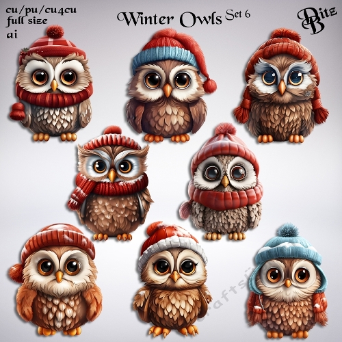 Winter Owls Set 6