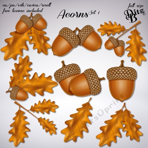 Acorns Set 1