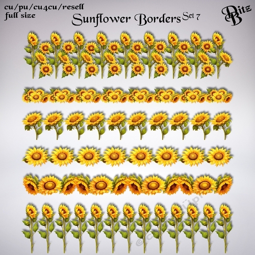 Sunflower Borders Set 7