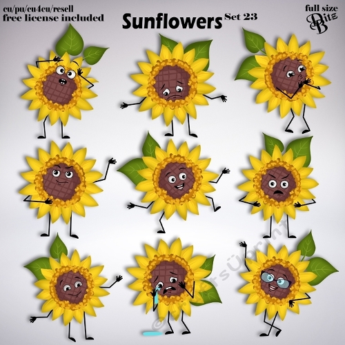 Sunflowers Set 23