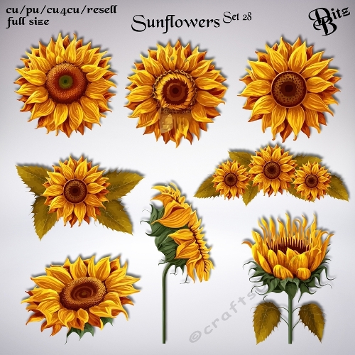 Sunflowers Set 28