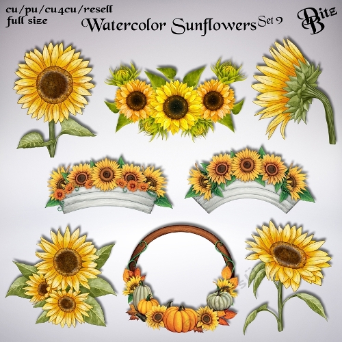 Watercolor Sunflowers Set 9