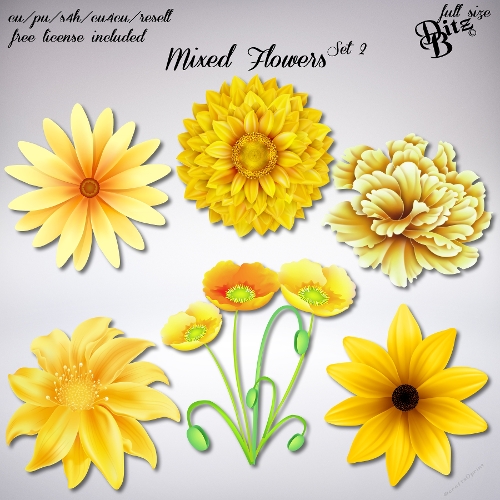 Mixed Flowers Set 2