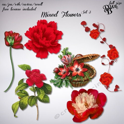 Mixed Flowers Set 3