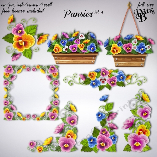 Pansies Set 4