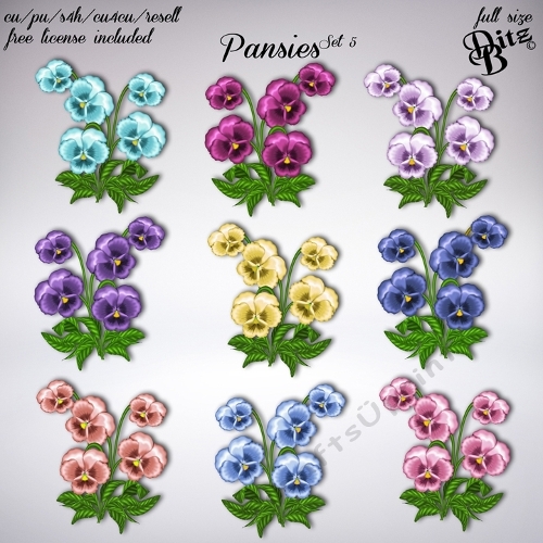 Pansies Set 5