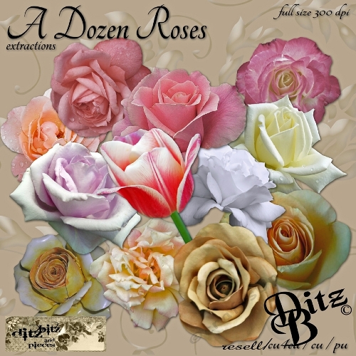 A Dozen Roses