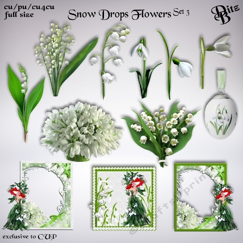 Snow Drops Flowers Set 3