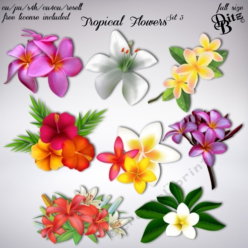 Tropical Flowers Set 3