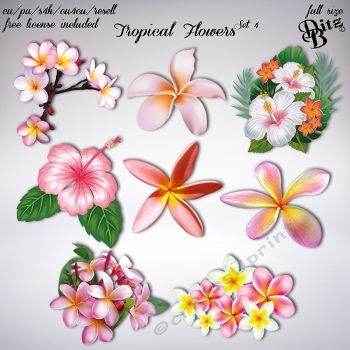 Tropical Flowers Set 4