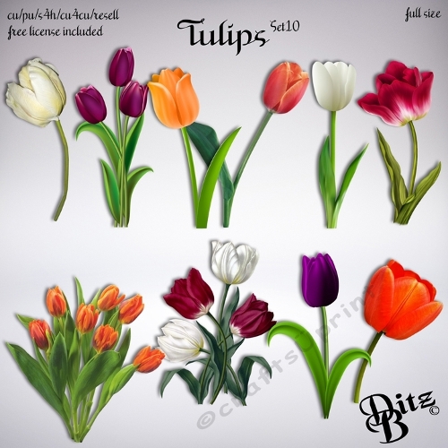 Tulips Set 10