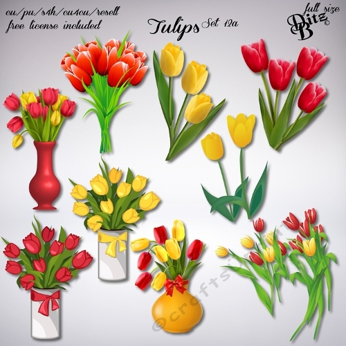 Tulips Set 12a