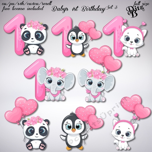 Babys 1st Birthday Set 3