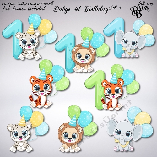 Babys 1st Birthday Set 4