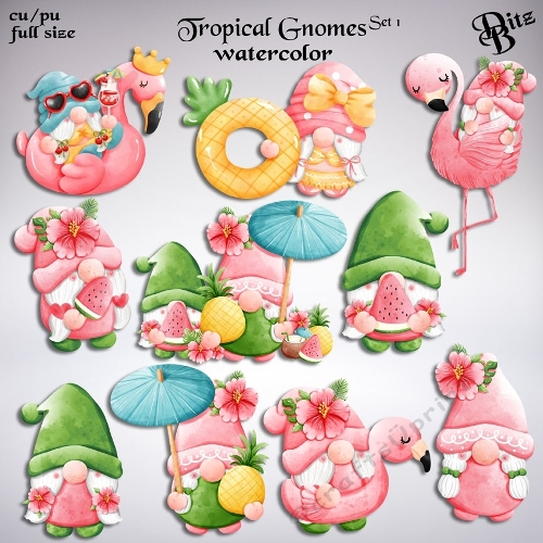Tropical Gnomes Set 1