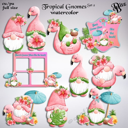 Tropical Gnomes Set 2