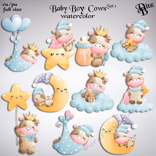 Baby Boy Cows Set 1