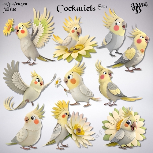 Cockatiels Set 1