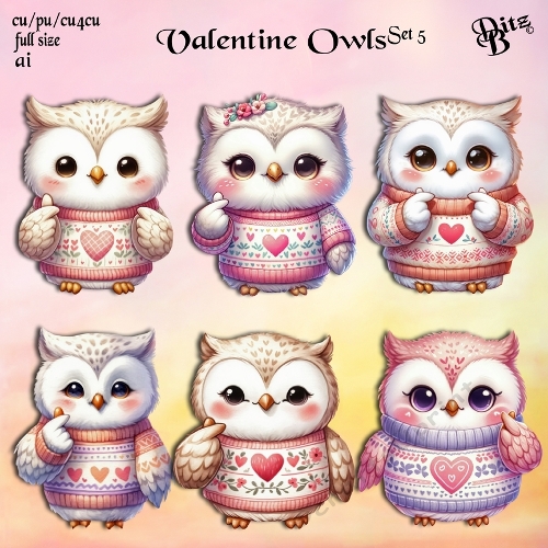 Valentine Owls Set 5