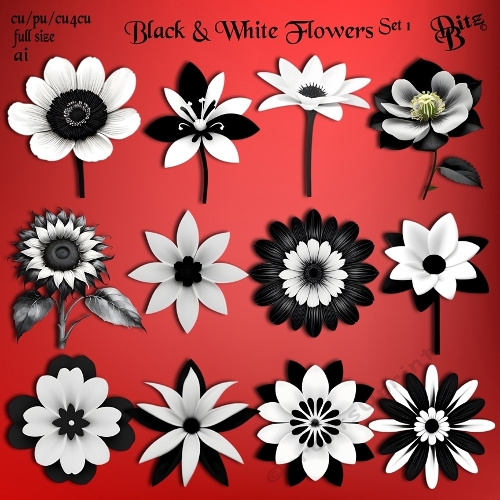 Black & White Flowers Set 1