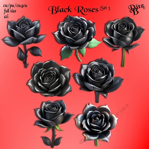 Black Roses Set 3