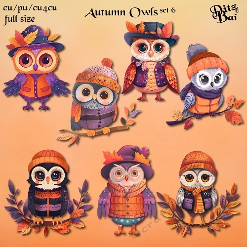 Autumn Owls Set 6
