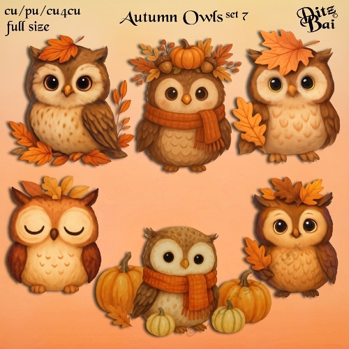 Autumn Owls Set 7