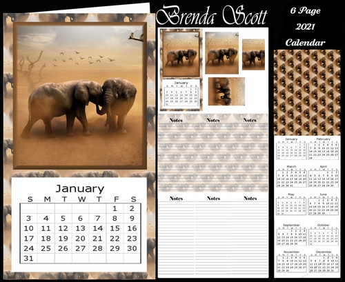 African Elephant 2021 Calendar