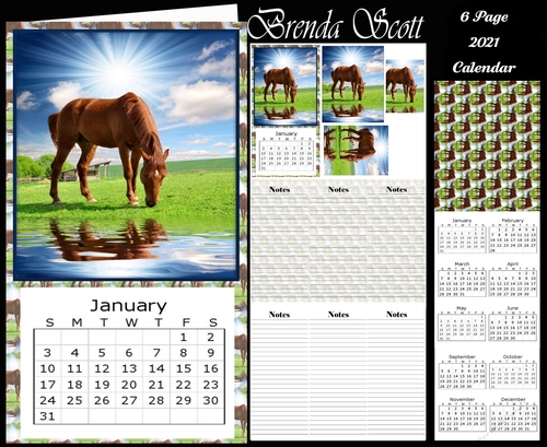 Horse Out on a Sunny Day - 2021 Calendar