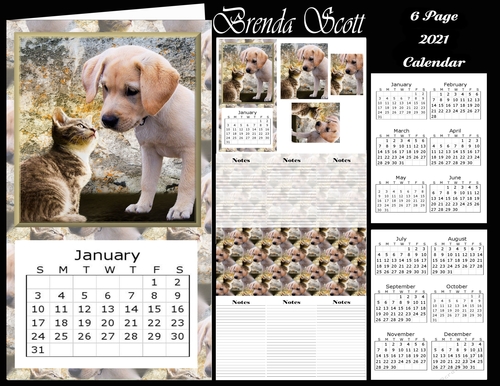 Cat and Dog 2 - 2021 Calendar
