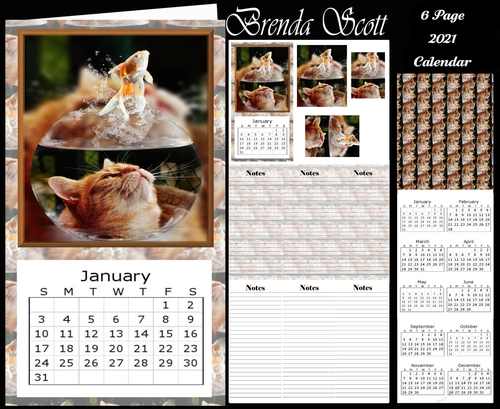Cat in Fish Bowl - 2021 Calendar