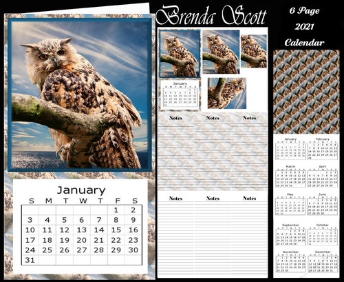 Owl on Branch 2021 Calendar