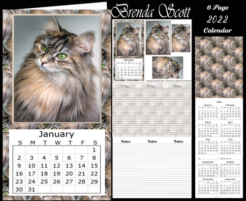 Green Eyed Cat - 2022 Calendar