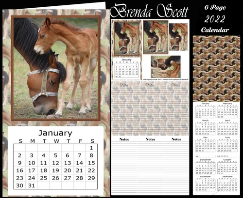 Mom and Baby 2022 Calendar